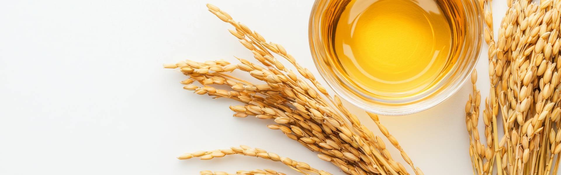 Rice Bran Wax: Sustainable, High-Performance Wax Solution
